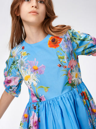 Casey Garden Dress