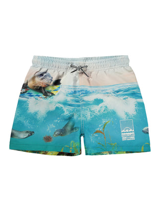 Niko Sealion Boardies