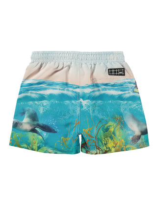 Niko Sealion Boardies