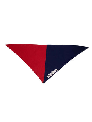 Lois Neckerchief