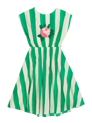 Flower Stripes Dress