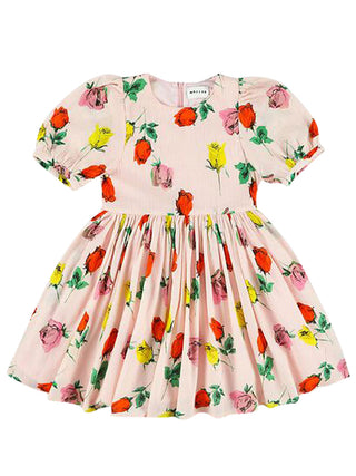 Welsa Roses Dress