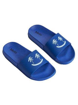 Reef Blue Zhappy Flip Flops