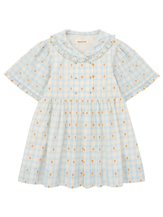 PREORDER: Voyage Dress