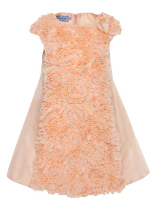 Ruffled Chiffon Dress
