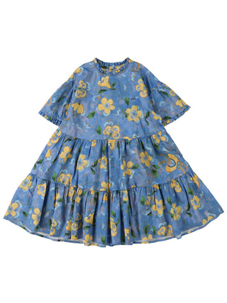 PREORDER: Liberty Gathered Dress