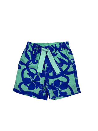 Aqua Surf Board Shorts