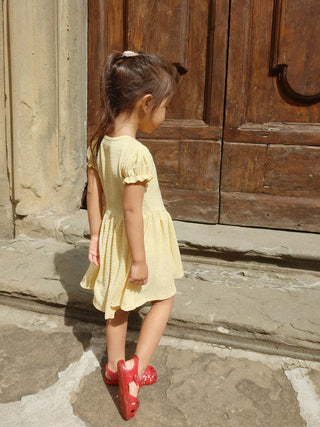 PREORDER: Solija Dress