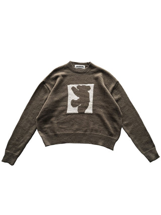 Teddy Bear Pullover
