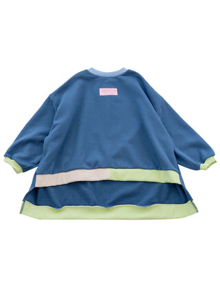 PREORDER: Old Blue Sweatshirt