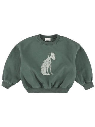 Zaragoza Dalmation Sweatshirt