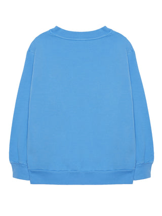 Tiger Book Blue Sweatshirt